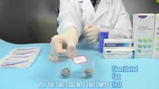 Test delle uova fluorurate